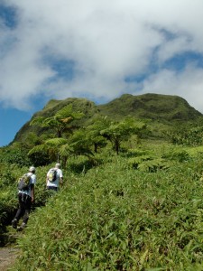 Ascension de la Montagne Pelée en Martinique