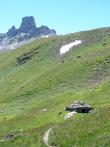 La Maya dans le vallon de Réchy