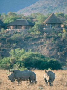 Un de vos lodges en Afrique du Sud