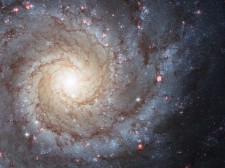 M74, une flamboyante galaxie spirale