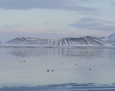 Le Lac Myvatn