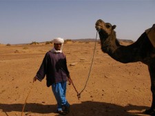 Les chameliers de la vallée du Drâa