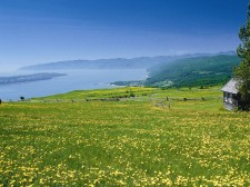 Côtes de Charlevoix en été