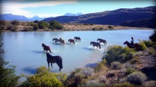 Chevaux traversant le rio Catarina près de l'estancia Cristina (Argentine)