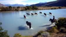 Chevaux traversant le rio Catarina près de l'estancia Cristina (Argentine)