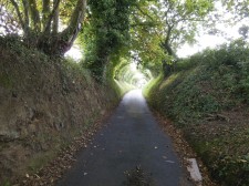 Jersey – Une "Green Lane", petite route de balade