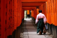 Les célèbres torii rouges du sanctuaire shinto Fushimi Inari à Kyoto