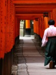 Les célèbres torii rouges du sanctuaire shinto Fushimi Inari à Tokyo