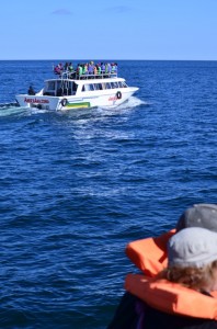 En transit sur le lac Titicaca