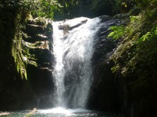 Extension Forêt tropicale d'altitude – Une cascade dans la jungle