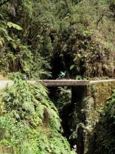 Extension Forêt tropicale d'altitude – A fond sur la "route de la mort" !