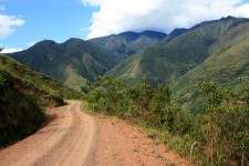 Extension Forêt tropicale d'altitude – En route pour la jungle