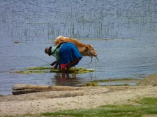 Une "cholita" du lac Titicaca