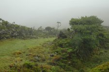 Le volcan produit souvent son propre nuage... et on est dedans !