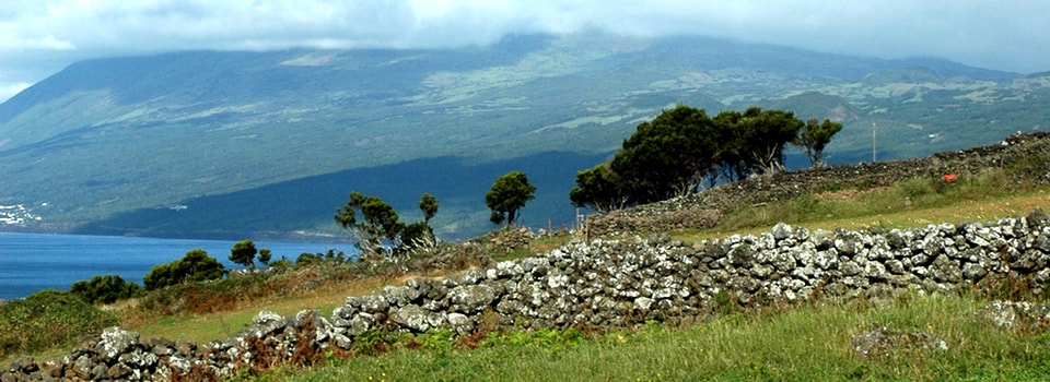 Açores – Randos, baleines et causeries