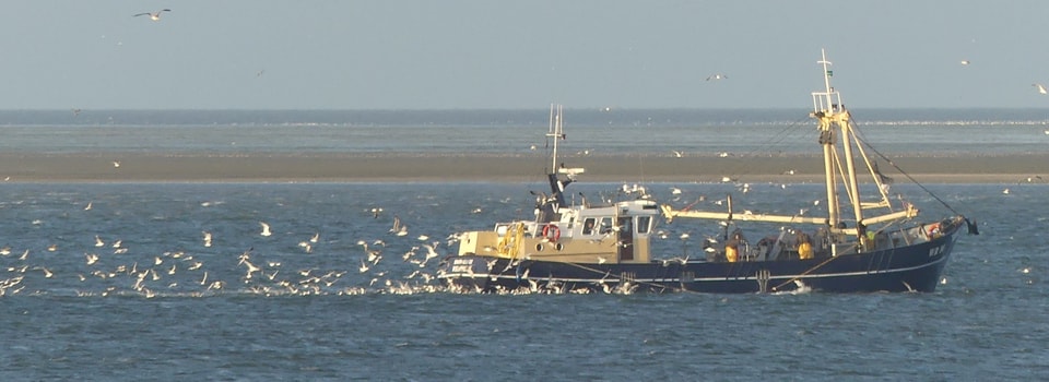 Pays-Bas – En selle sur l’île de Texel !