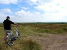 Les dunes couvertes de bruyère dans le parc national de Texel