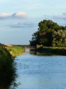 L'île est zébrée de canaux et d'étangs