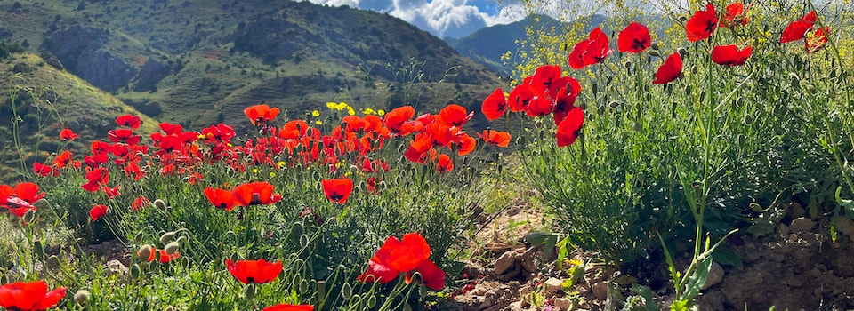 Arménie – Marche méditative et culturelle dans les montagnes du Caucase