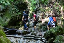 Randonnée en forêt vers Dilijan